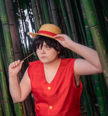 Funny Luffy Cosplay